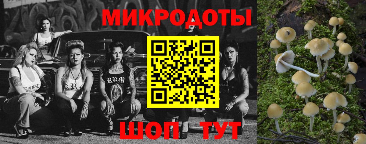 Псилоцибиновые грибы GOLDEN TEACHER Миасс