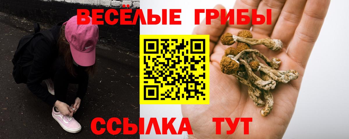 Миасс  Галлюциногенные грибы Psilocybe  Псилоцибиновые грибы Psilocybe  сколько стоит  Вход с VPN 